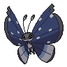 Dark Vivillon (Polar)